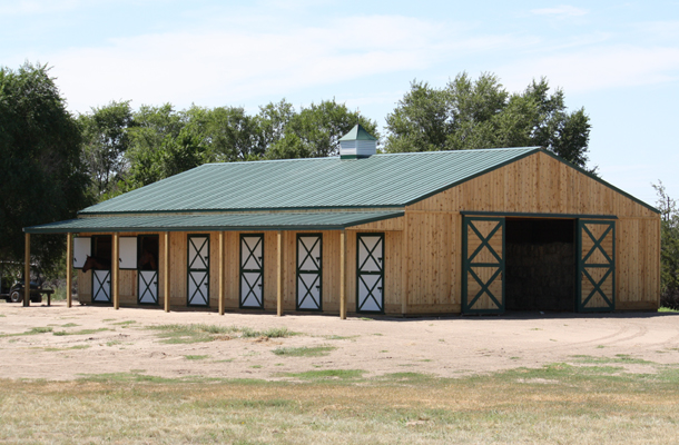 How to Bring your Horse and Equestrian Facilities into the Backyard