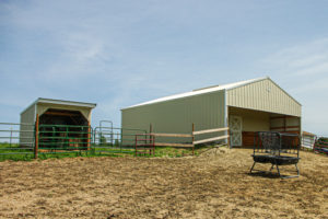 Run-in sheds