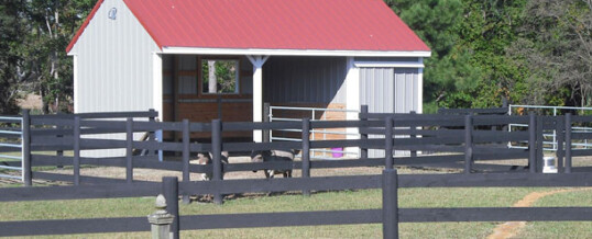 Shed Row Barns for your Minimalist Horse Barn