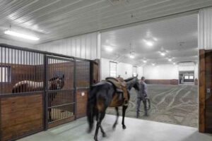 Equine Buildings